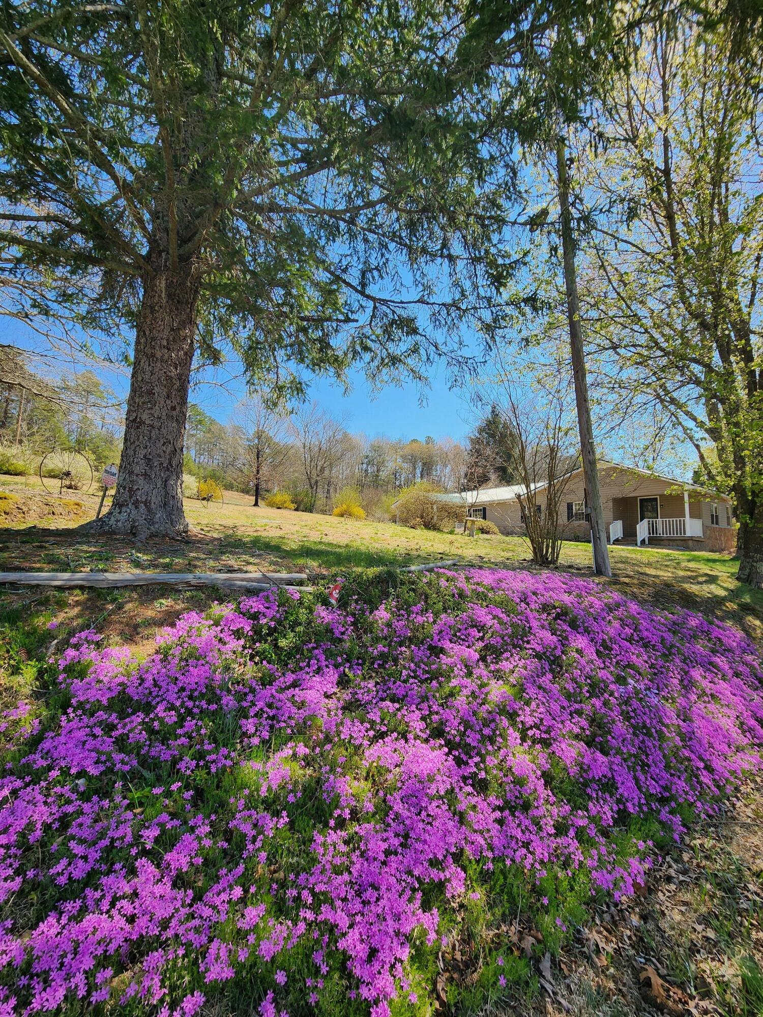 16106 Poole Road Sale Creek, TN 37373 - Photo 1 of 52 1000031968