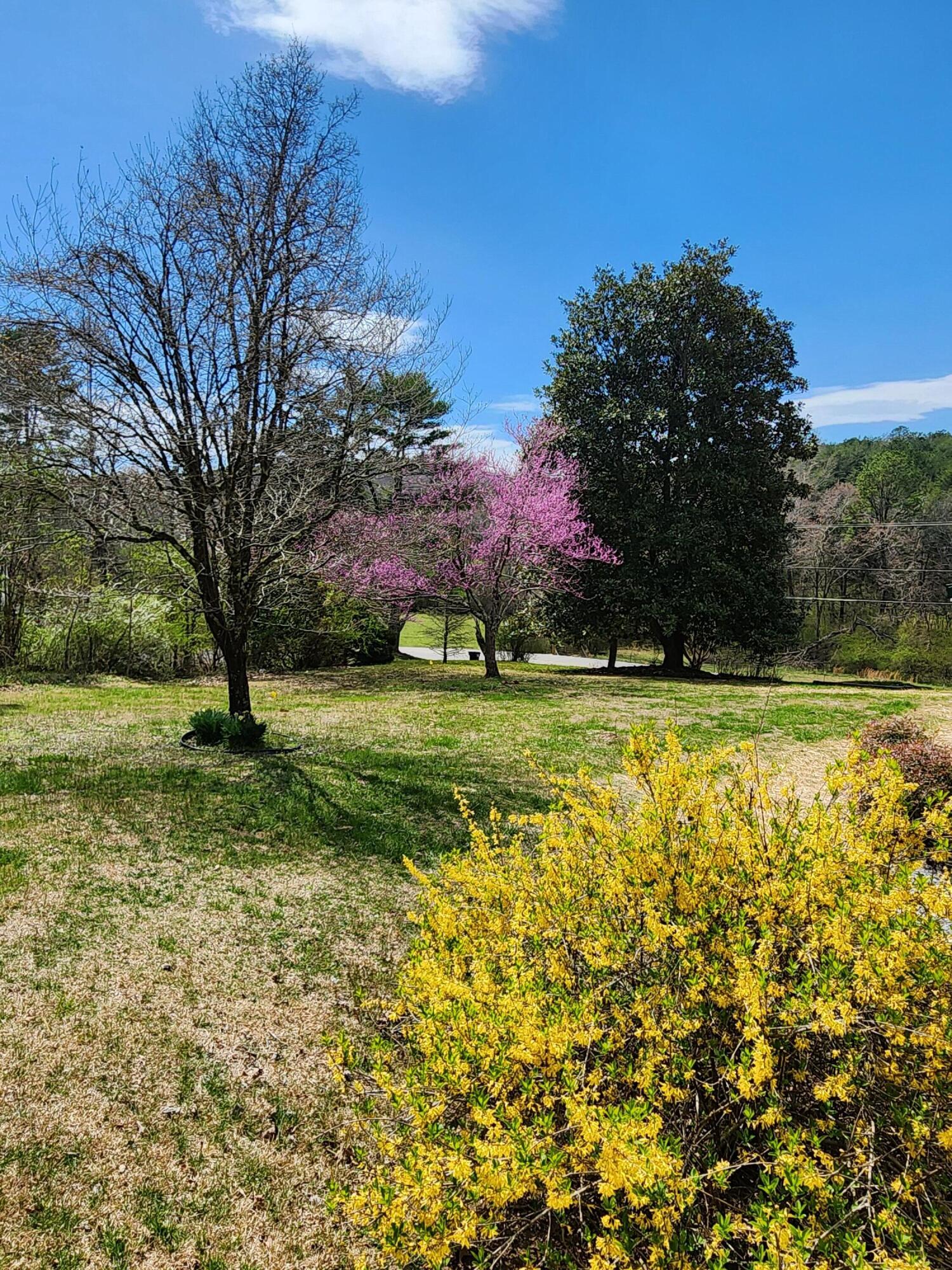16106 Poole Road Sale Creek, TN 37373 - Photo 11 of 52 1000031974