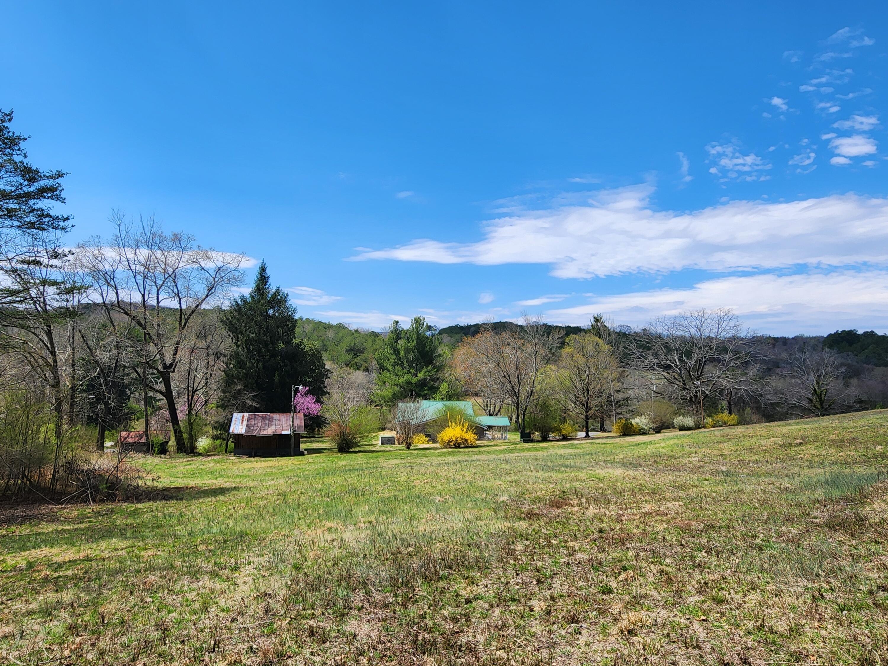 16106 Poole Road Sale Creek, TN 37373 - Photo 2 of 52 1000031973