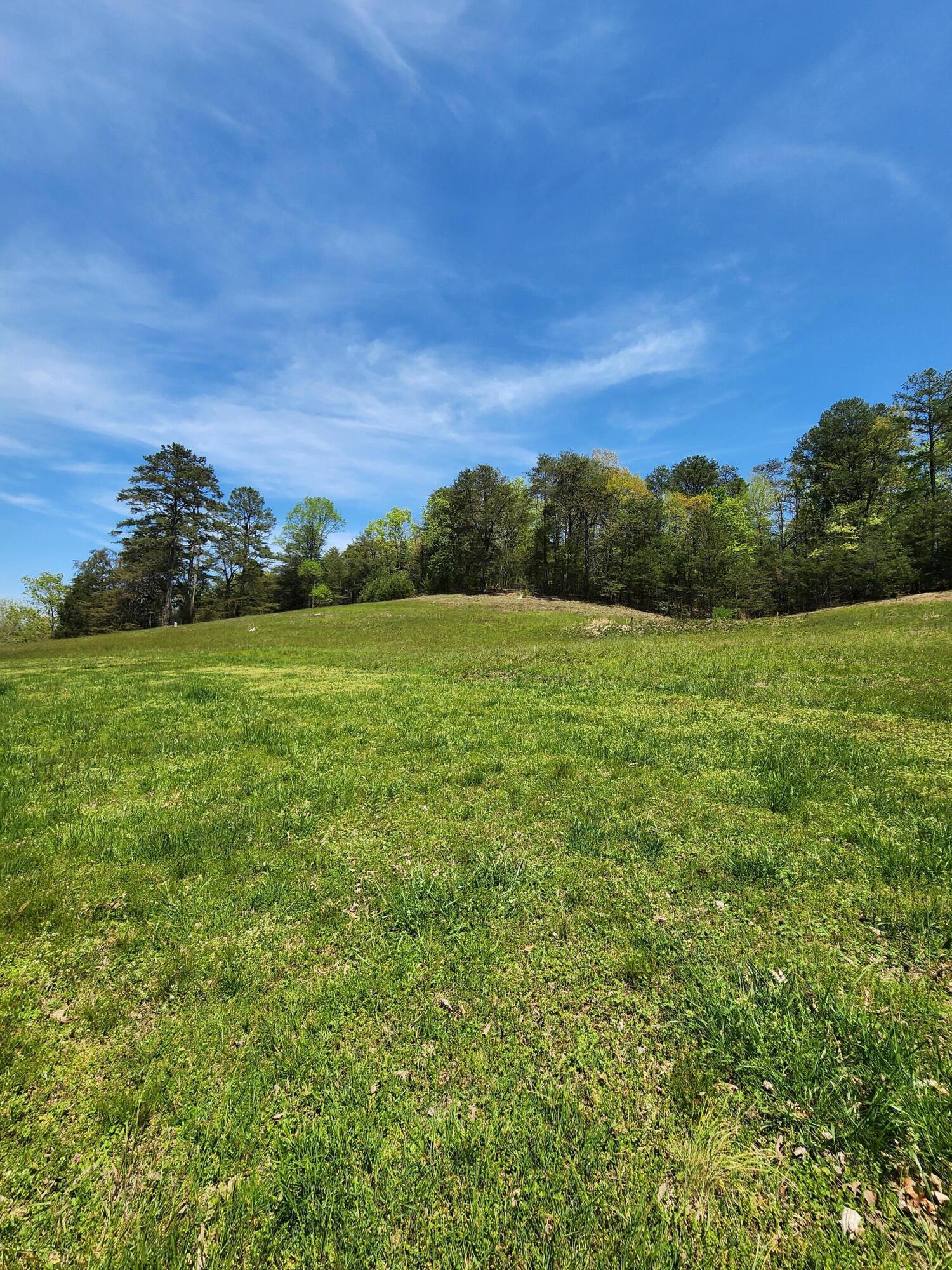 16106 Poole Road Sale Creek, TN 37373 - Photo 34 of 52 1000032439