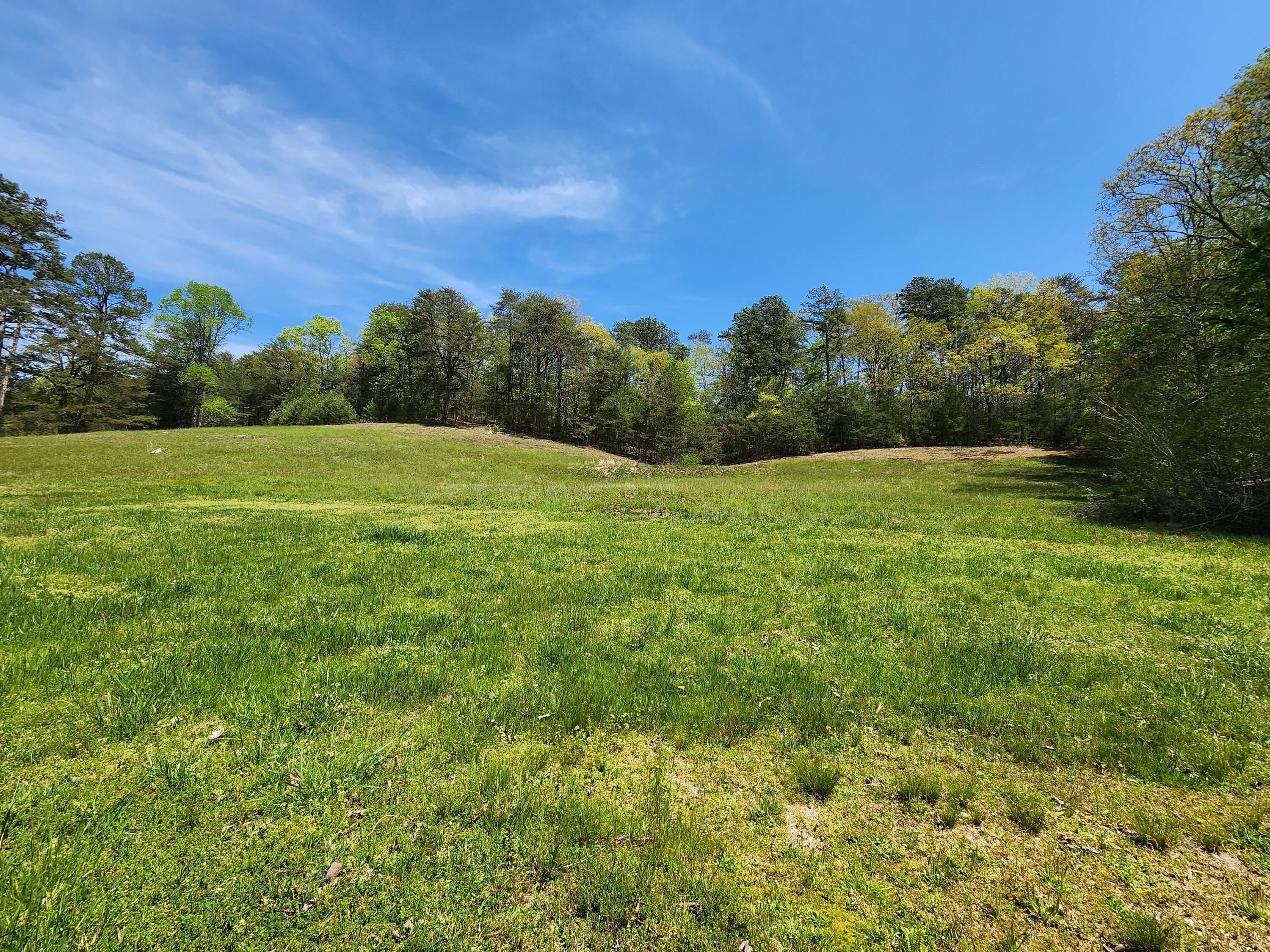 16106 Poole Road Sale Creek, TN 37373 - Photo 35 of 52 1000032436