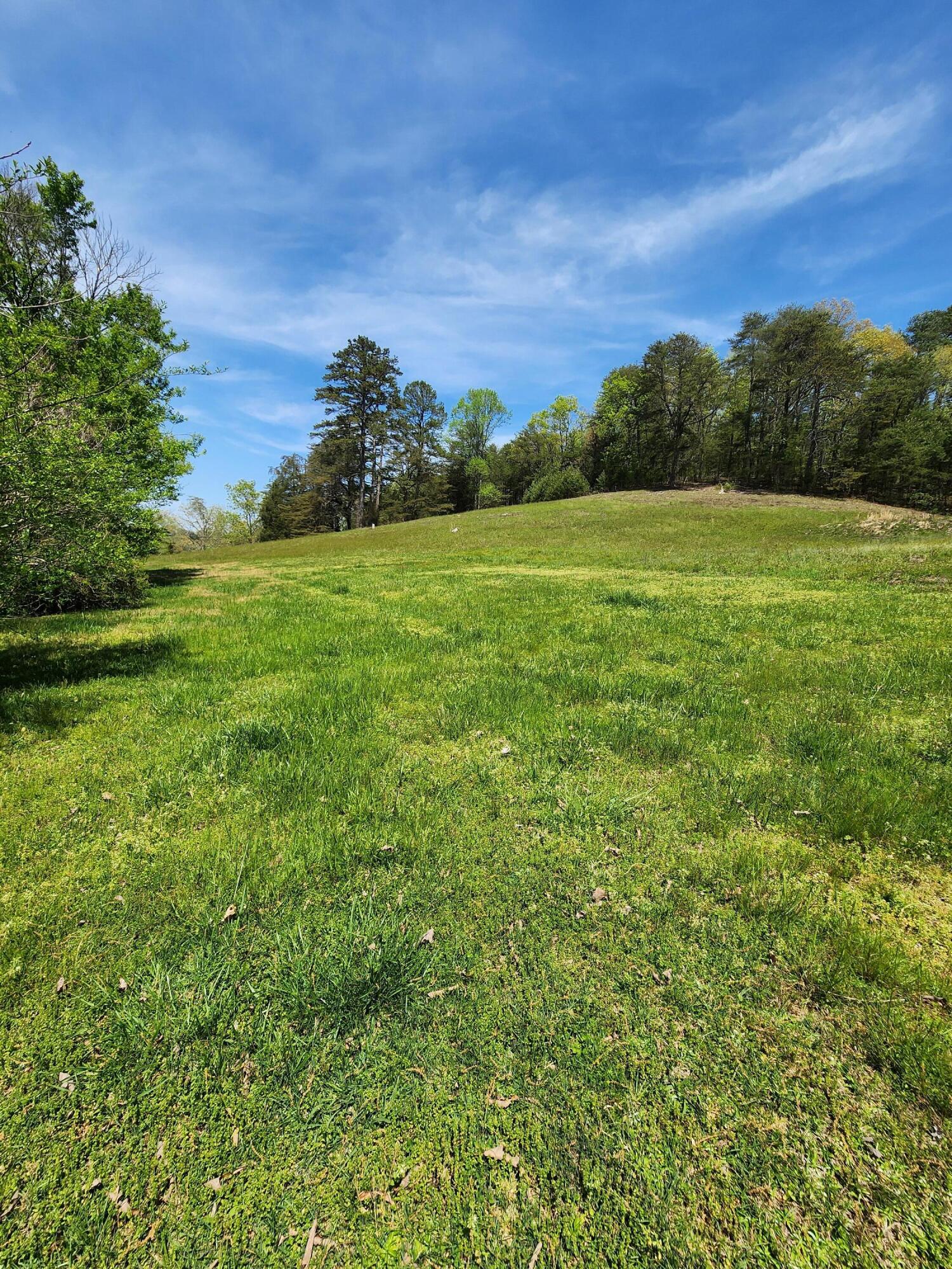 16106 Poole Road Sale Creek, TN 37373 - Photo 36 of 52 1000032435