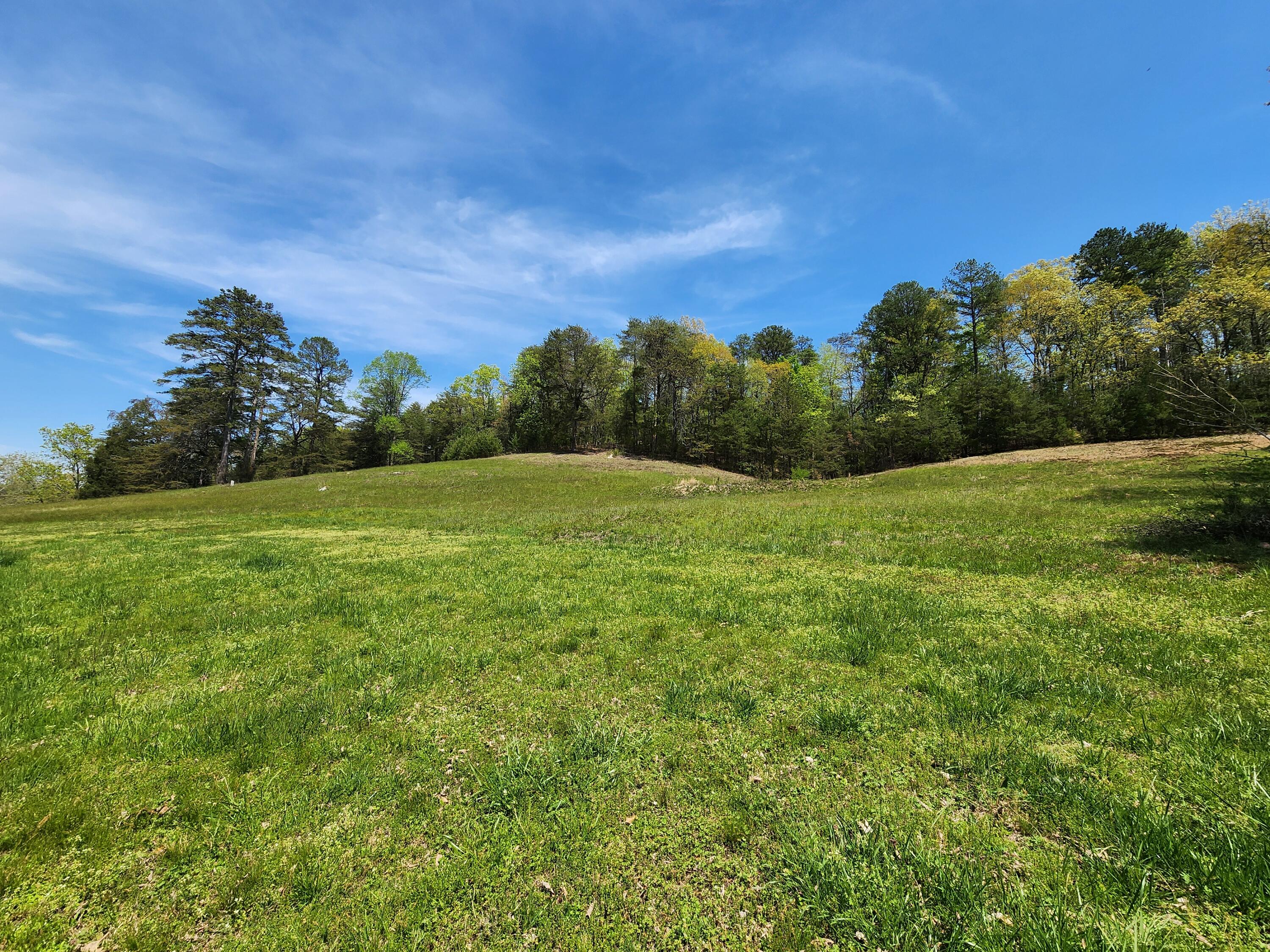 16106 Poole Road Sale Creek, TN 37373 - Photo 37 of 52 1000032440