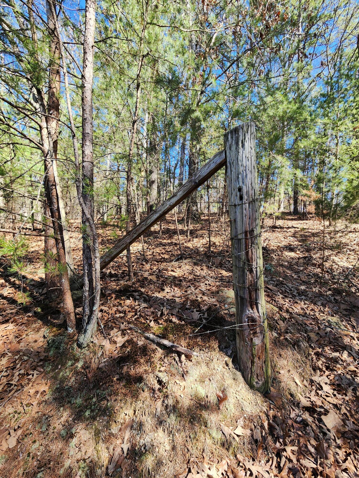 16106 Poole Road Sale Creek, TN 37373 - Photo 38 of 52 1000030722