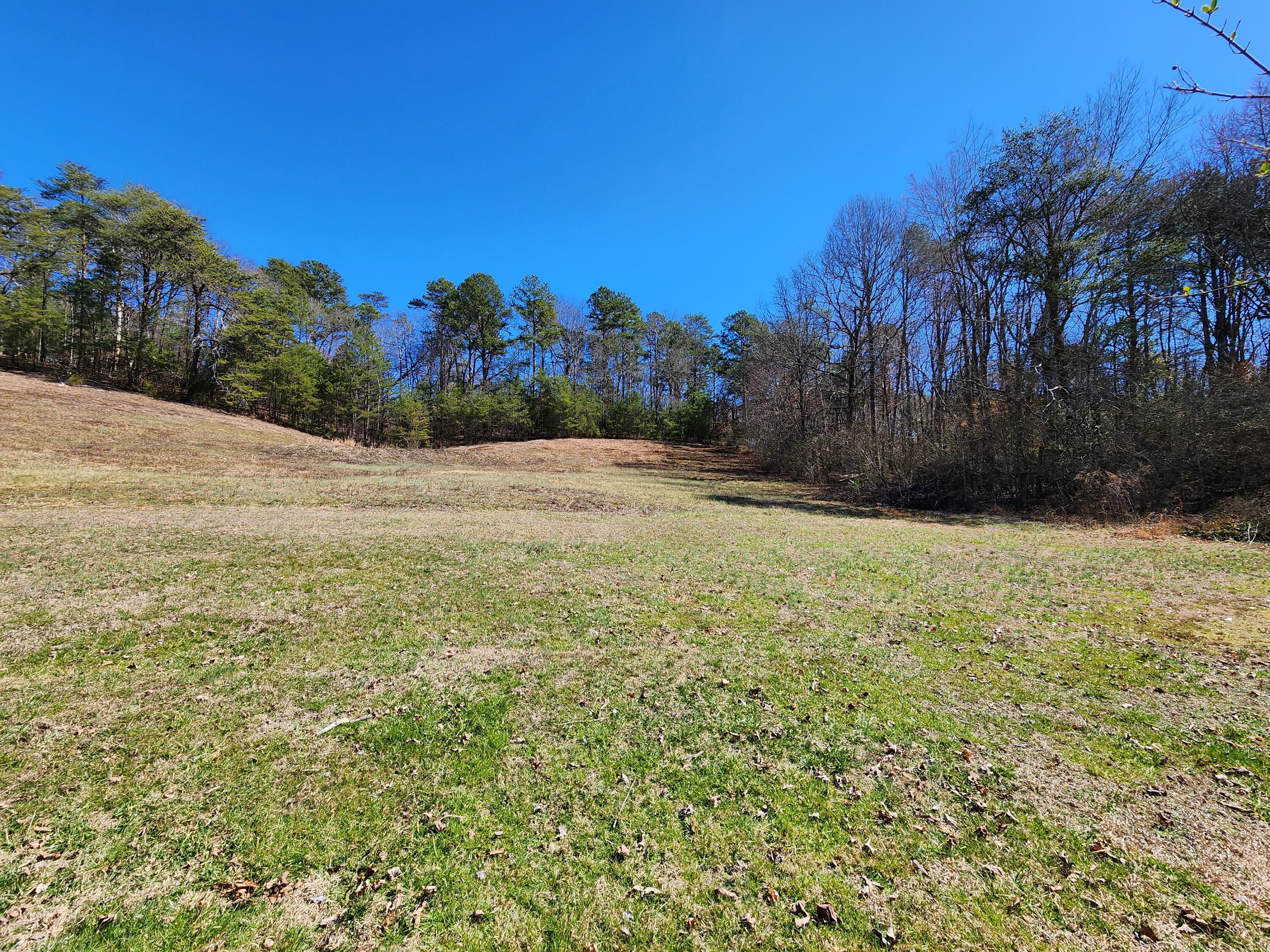 16106 Poole Road Sale Creek, TN 37373 - Photo 39 of 52 1000030721