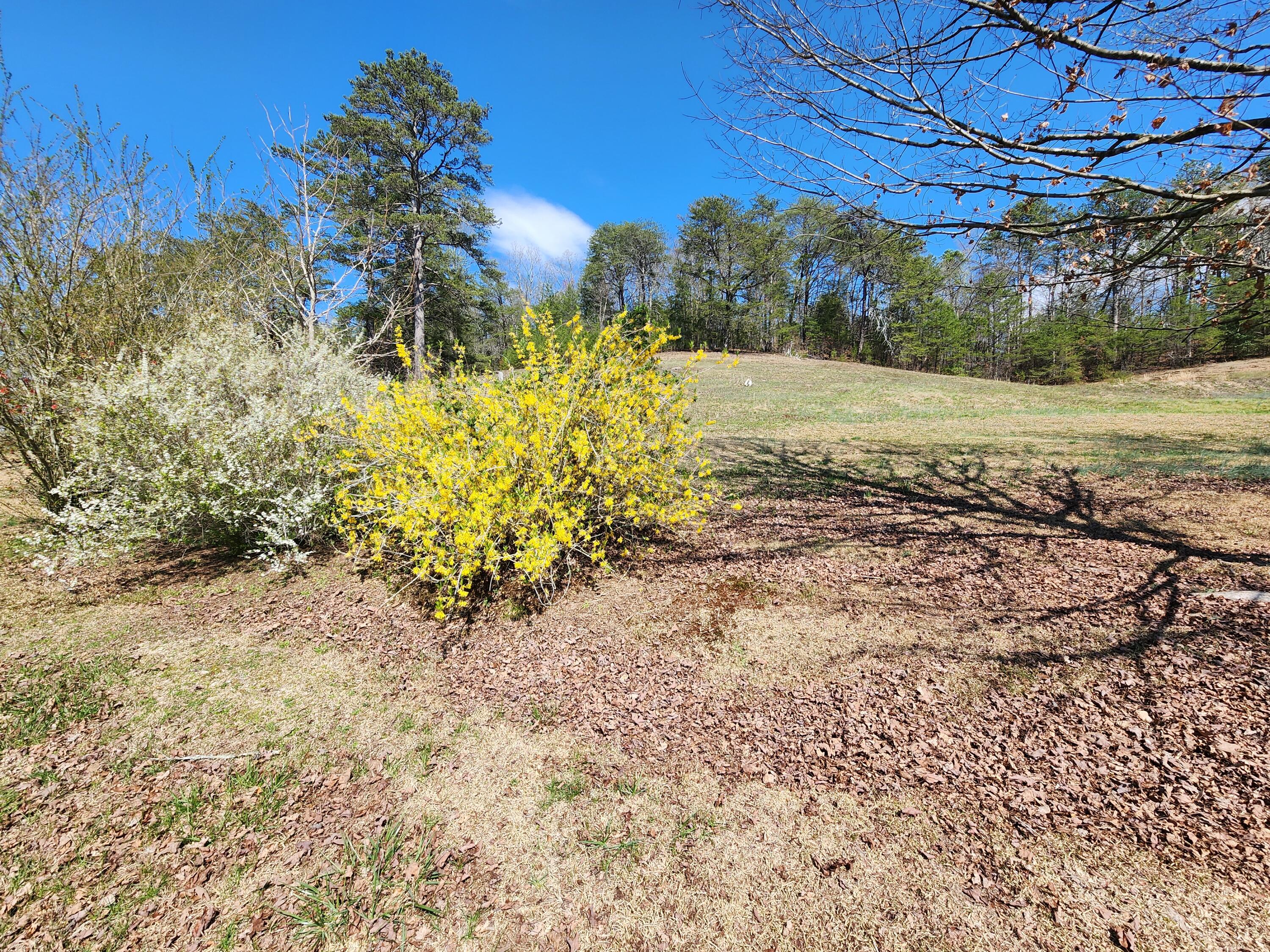 16106 Poole Road Sale Creek, TN 37373 - Photo 40 of 52 1000031981