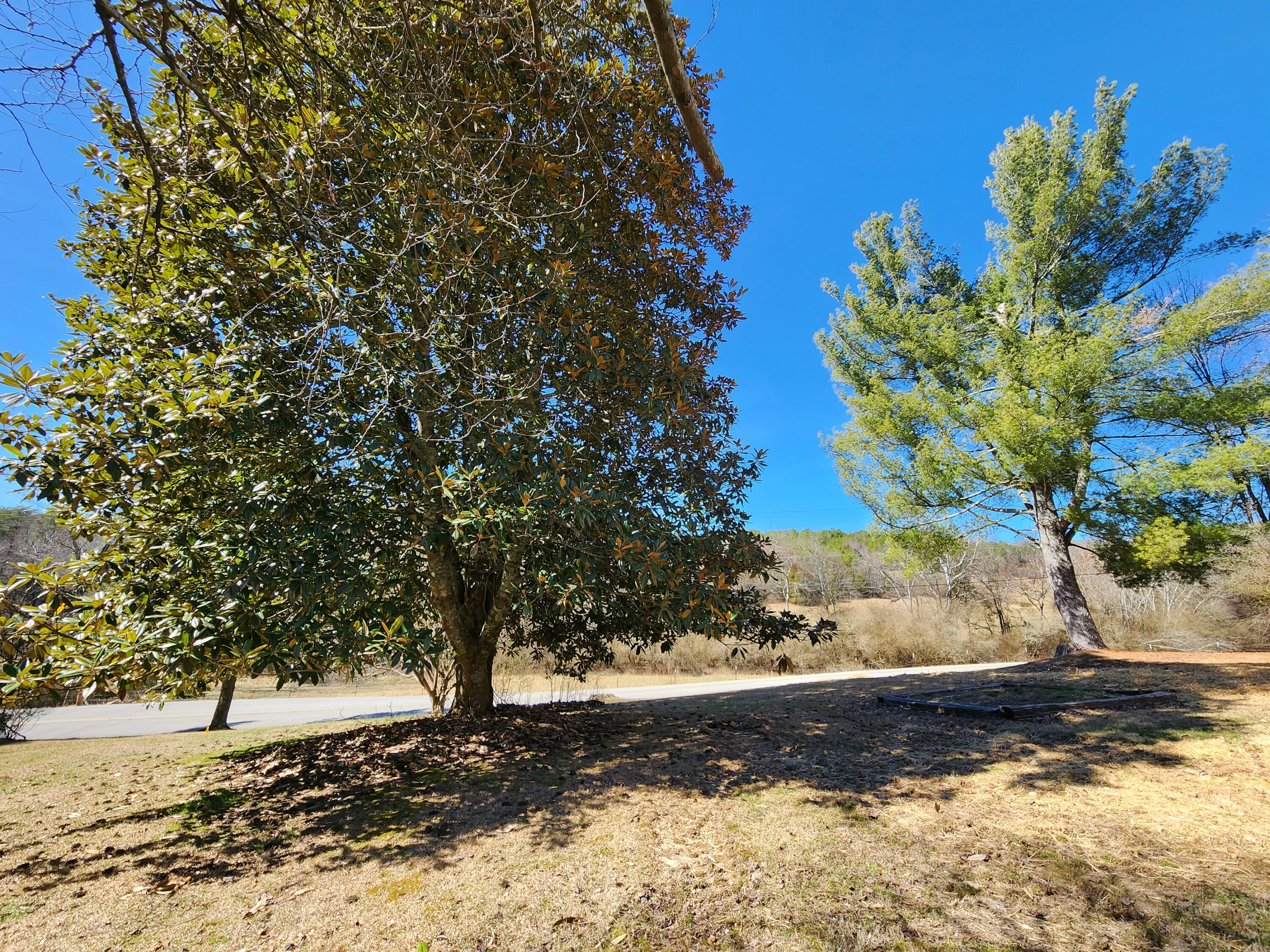 16106 Poole Road Sale Creek, TN 37373 - Photo 41 of 52 1000030747