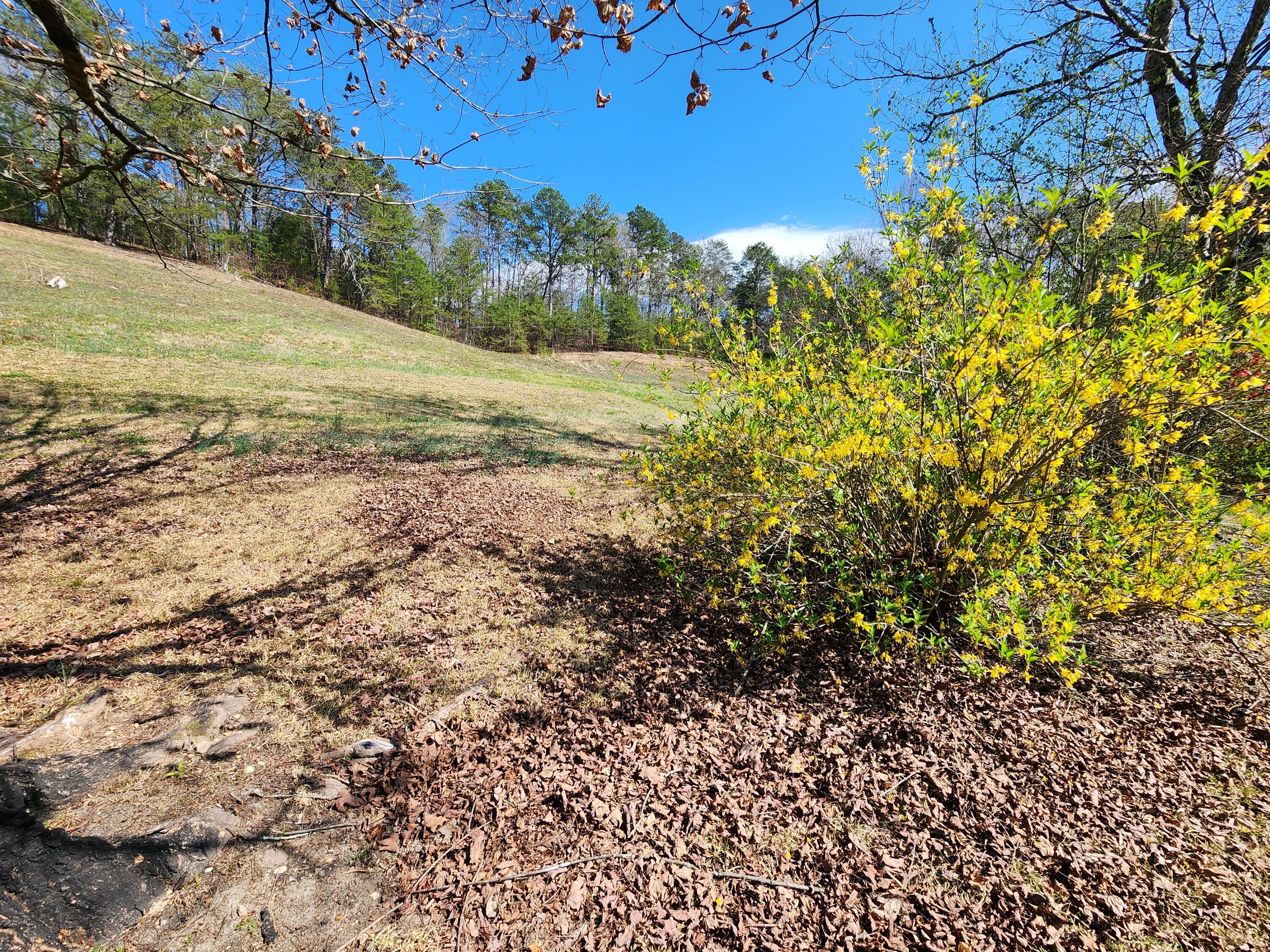 16106 Poole Road Sale Creek, TN 37373 - Photo 42 of 52 1000031982