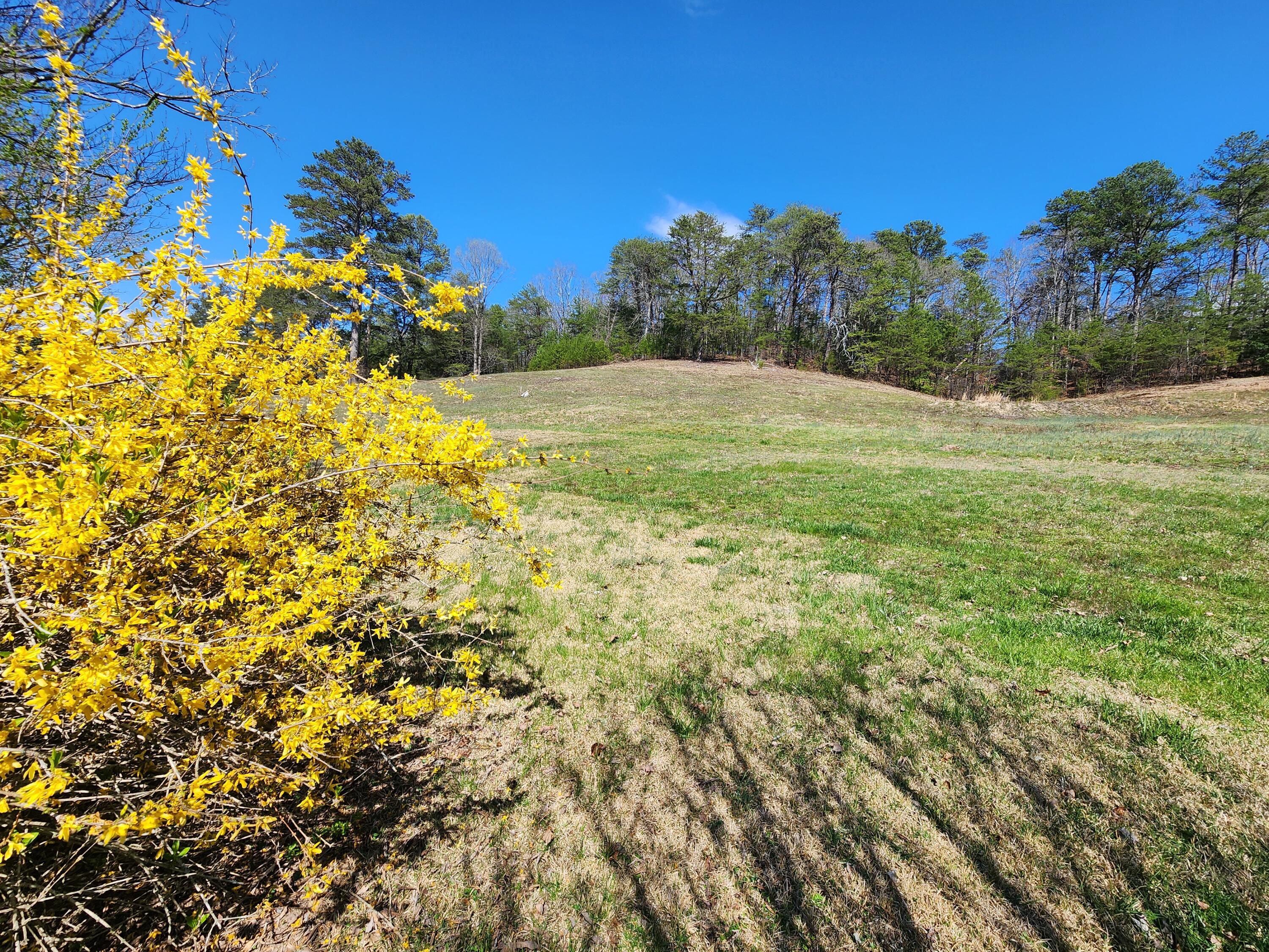 16106 Poole Road Sale Creek, TN 37373 - Photo 43 of 52 1000031983