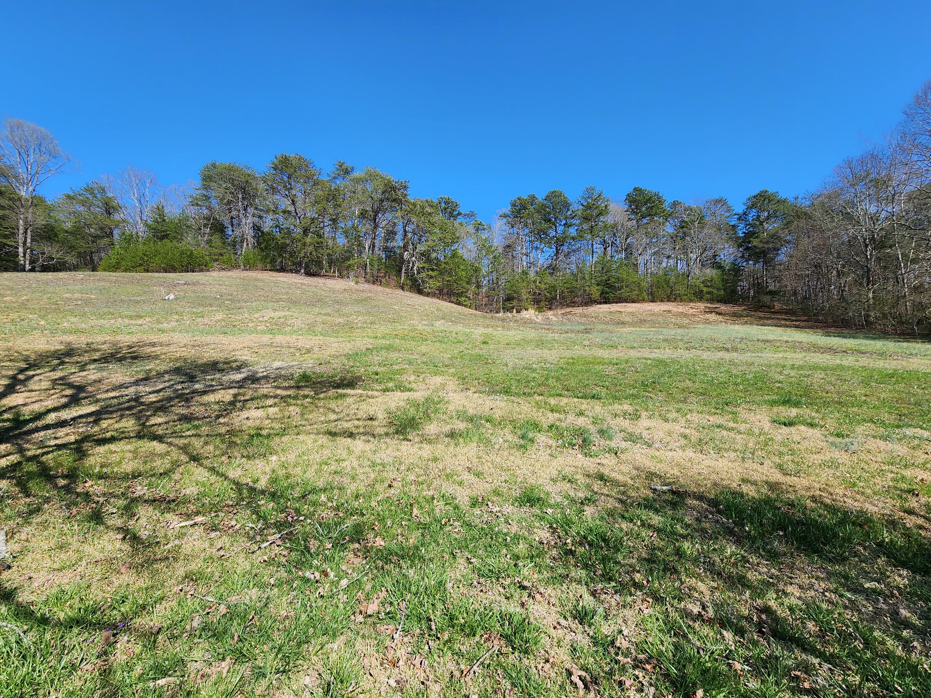 16106 Poole Road Sale Creek, TN 37373 - Photo 44 of 52 1000032001