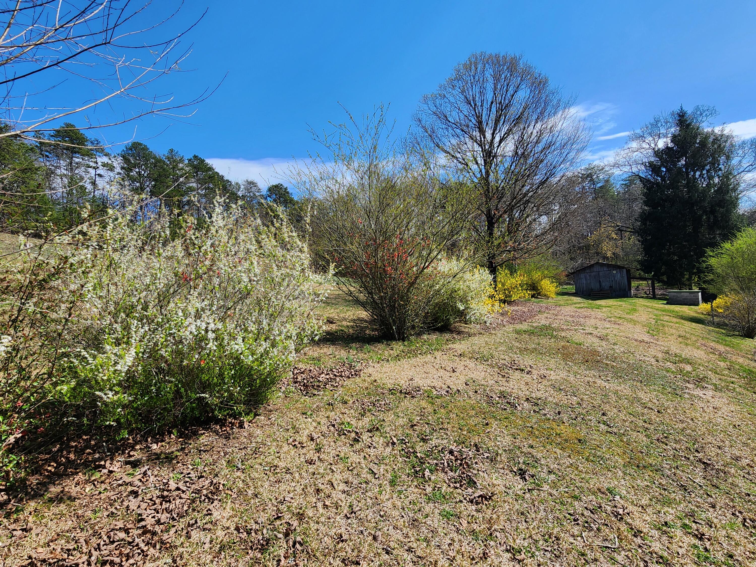 16106 Poole Road Sale Creek, TN 37373 - Photo 46 of 52 1000031980