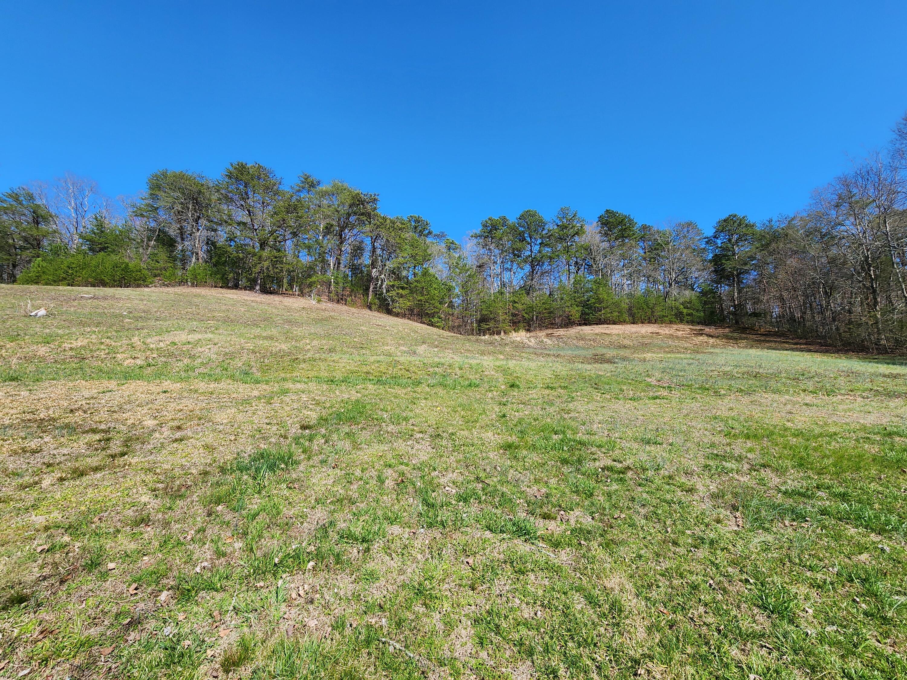 16106 Poole Road Sale Creek, TN 37373 - Photo 48 of 52 1000031998