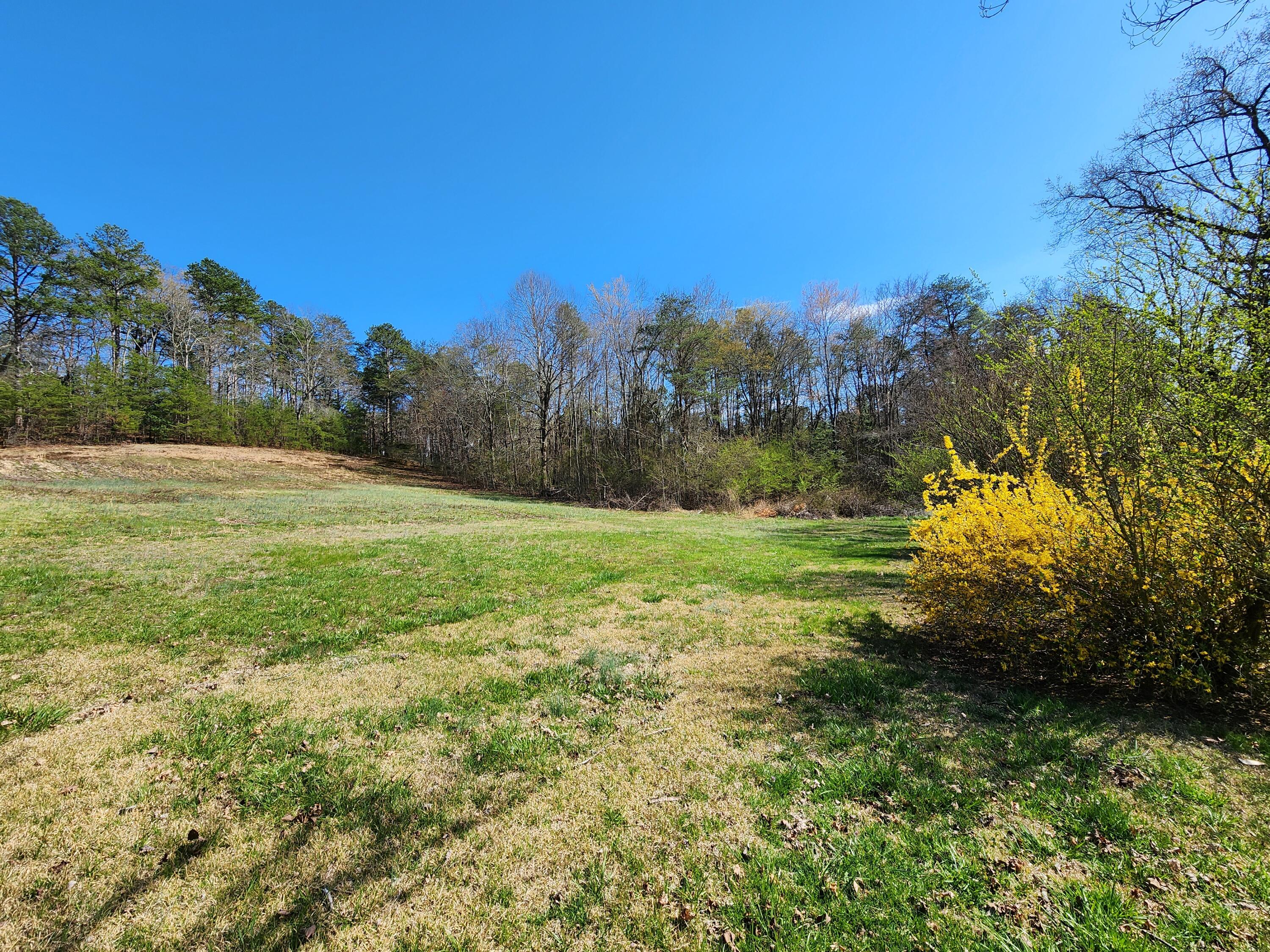 16106 Poole Road Sale Creek, TN 37373 - Photo 49 of 52 1000031996