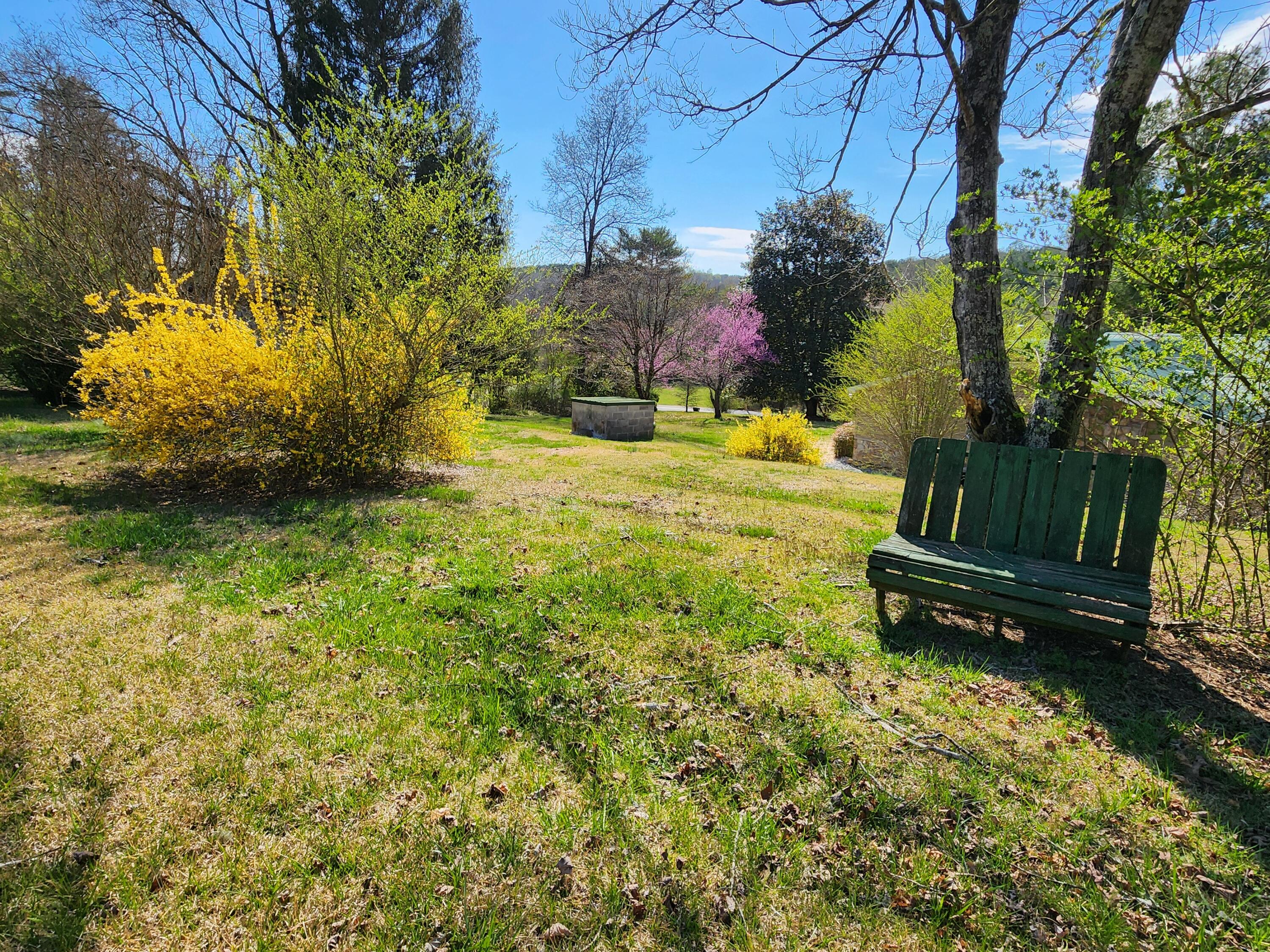 16106 Poole Road Sale Creek, TN 37373 - Photo 5 of 52 1000031997