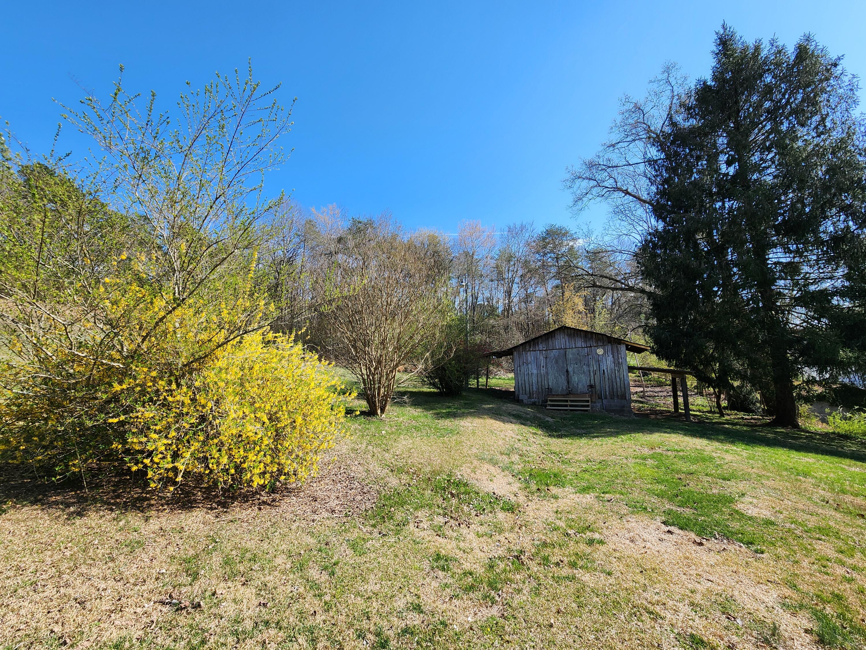 16106 Poole Road Sale Creek, TN 37373 - Photo 6 of 52 1000031993