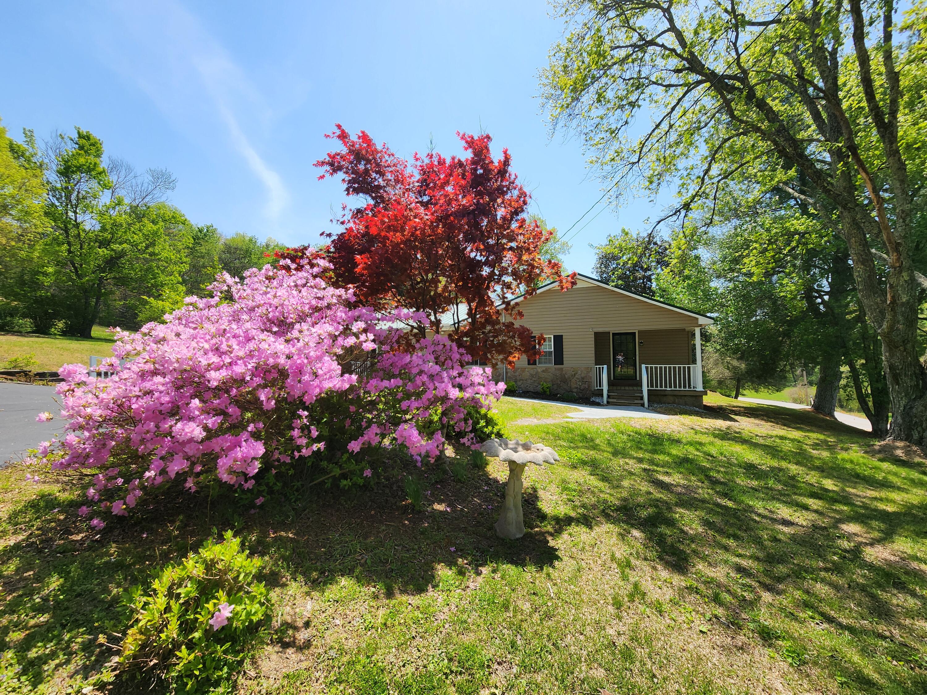 16106 Poole Road Sale Creek, TN 37373 - Photo 8 of 52 1000032429