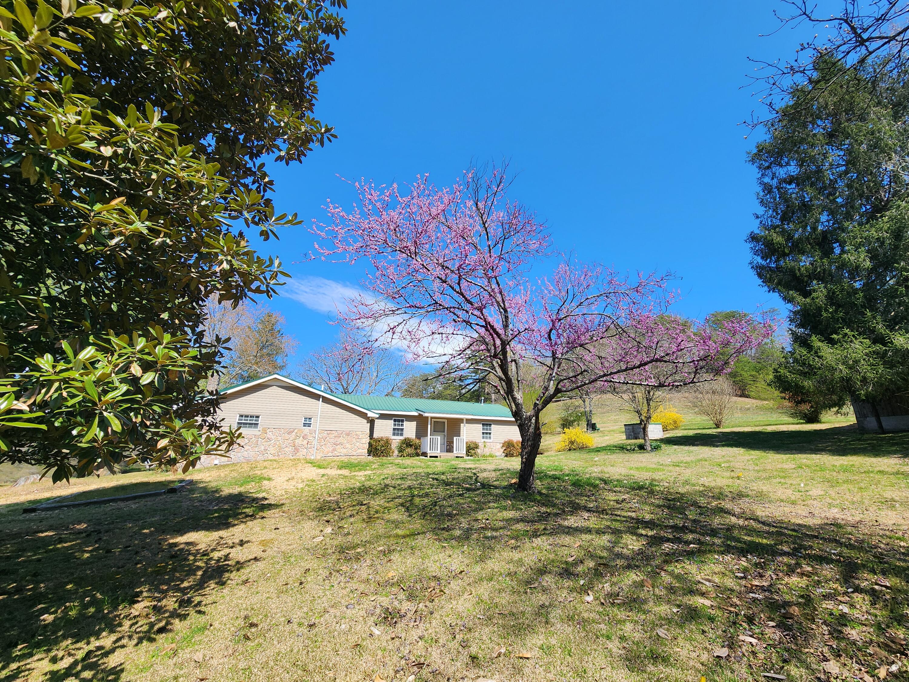 16106 Poole Road Sale Creek, TN 37373 - Photo 10 of 52 1000031970