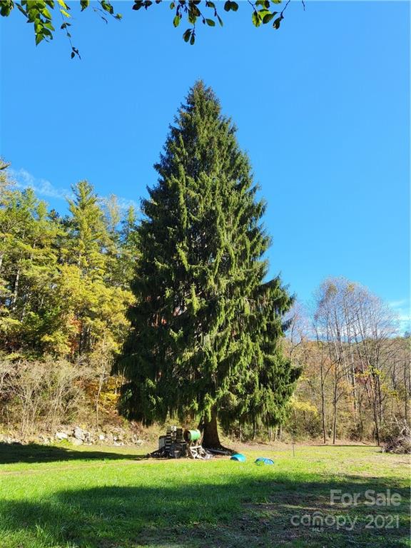 0 Macedonia Church Road Rosman, NC 28772 - Photo 3 of 4 Gallery Image 3