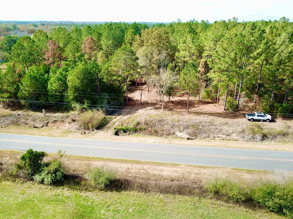 3-acres Lucy Grade Road Ashford, AL 36312 - Photo 10 of 18