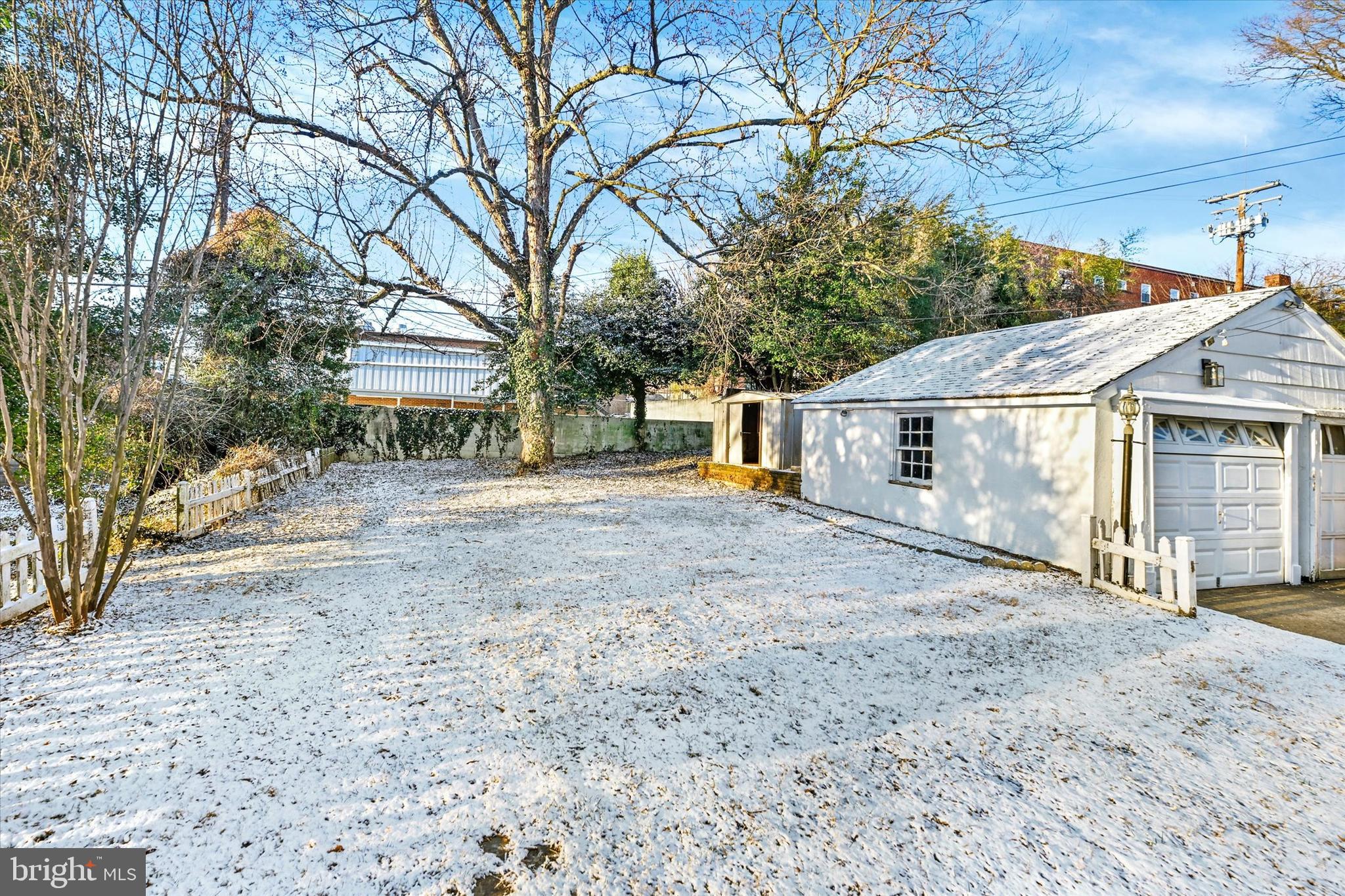 1032 Elm Ridge Avenue Baltimore, MD 21229 - Photo 25 of 28 front view of a house with a dirt yard and a large tree