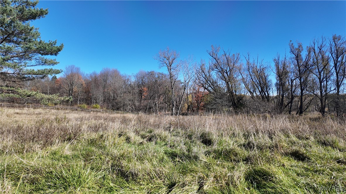 976 Davis Road East Aurora, NY 14052 - Photo 27 of 36