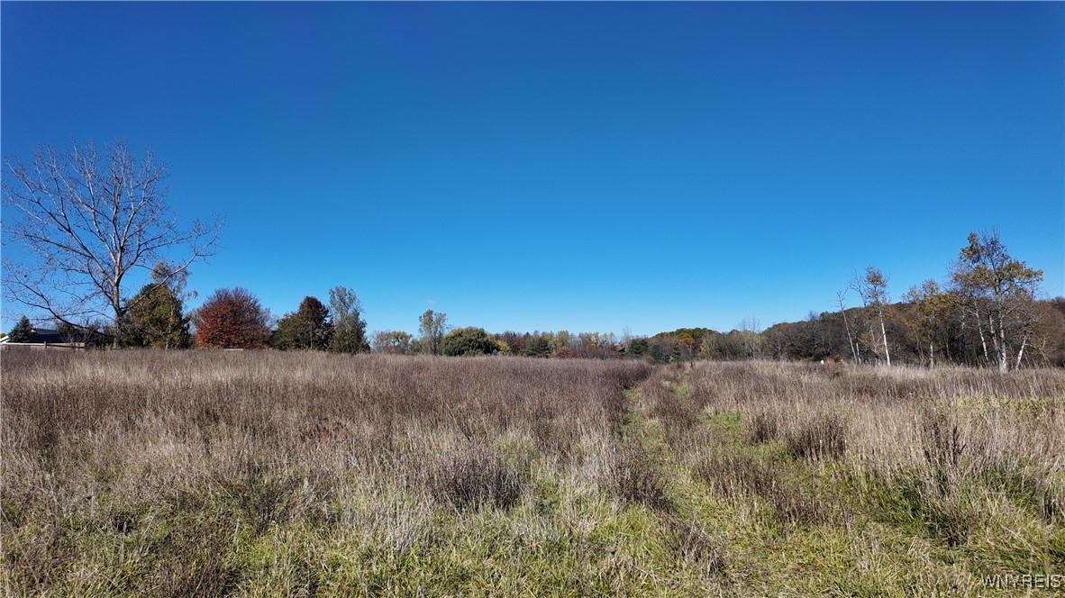 976 Davis Road East Aurora, NY 14052 - Photo 28 of 36