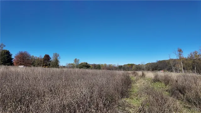 $899,900 | 976 Davis Road, East Aurora, NY 14052