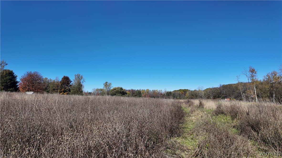 976 Davis Road East Aurora, NY 14052 - Photo 30 of 36