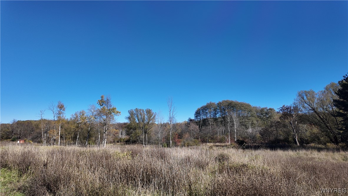 976 Davis Road East Aurora, NY 14052 - Photo 31 of 36