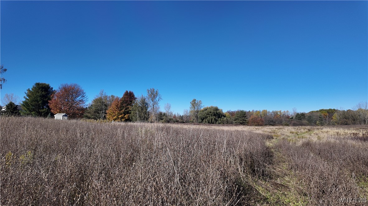 976 Davis Road East Aurora, NY 14052 - Photo 32 of 36