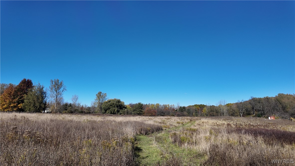 976 Davis Road East Aurora, NY 14052 - Photo 34 of 36