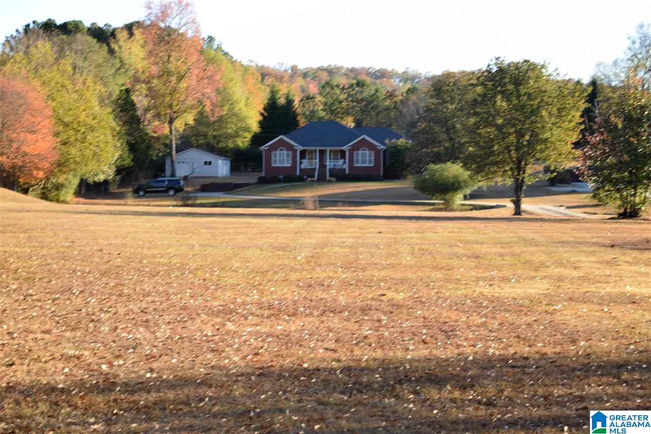 7441 Old Springville Road Trussville, AL 35173 - Photo 48 of 50