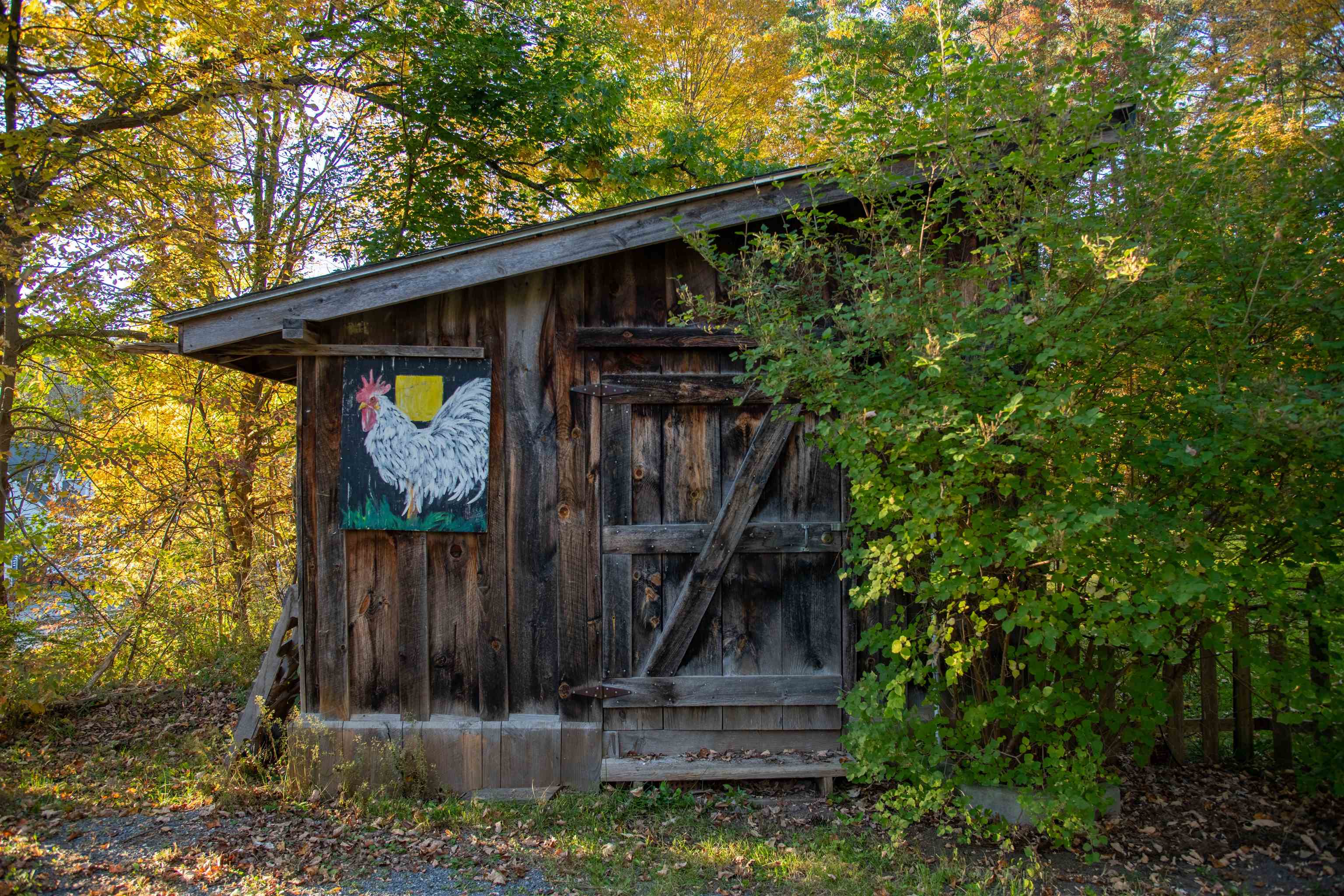 473 Laver Road Sunderland, VT 05250 - Photo 3 of 4 Gallery Image 3