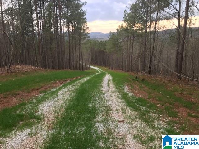5300 Idaho Road, Unit 200 Talladega, AL 35160 - Photo 12 of 14