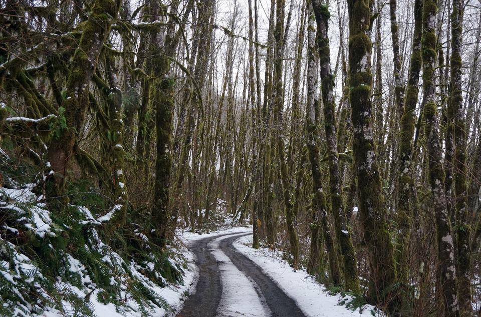 27517 Trask River Road Tillamook, OR 97141 - Photo 14 of 28 Snow