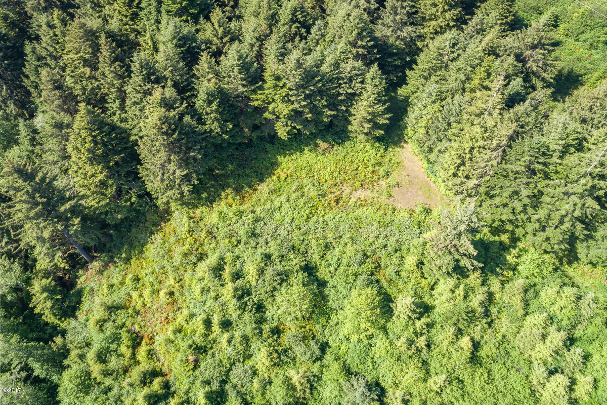 Lot 400 Northwest Legion Road Waldport, OR 97394 - Photo 7 of 10 Aerial of Cleared Building Site