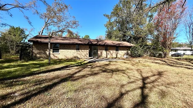 a view of a forest filled with trees