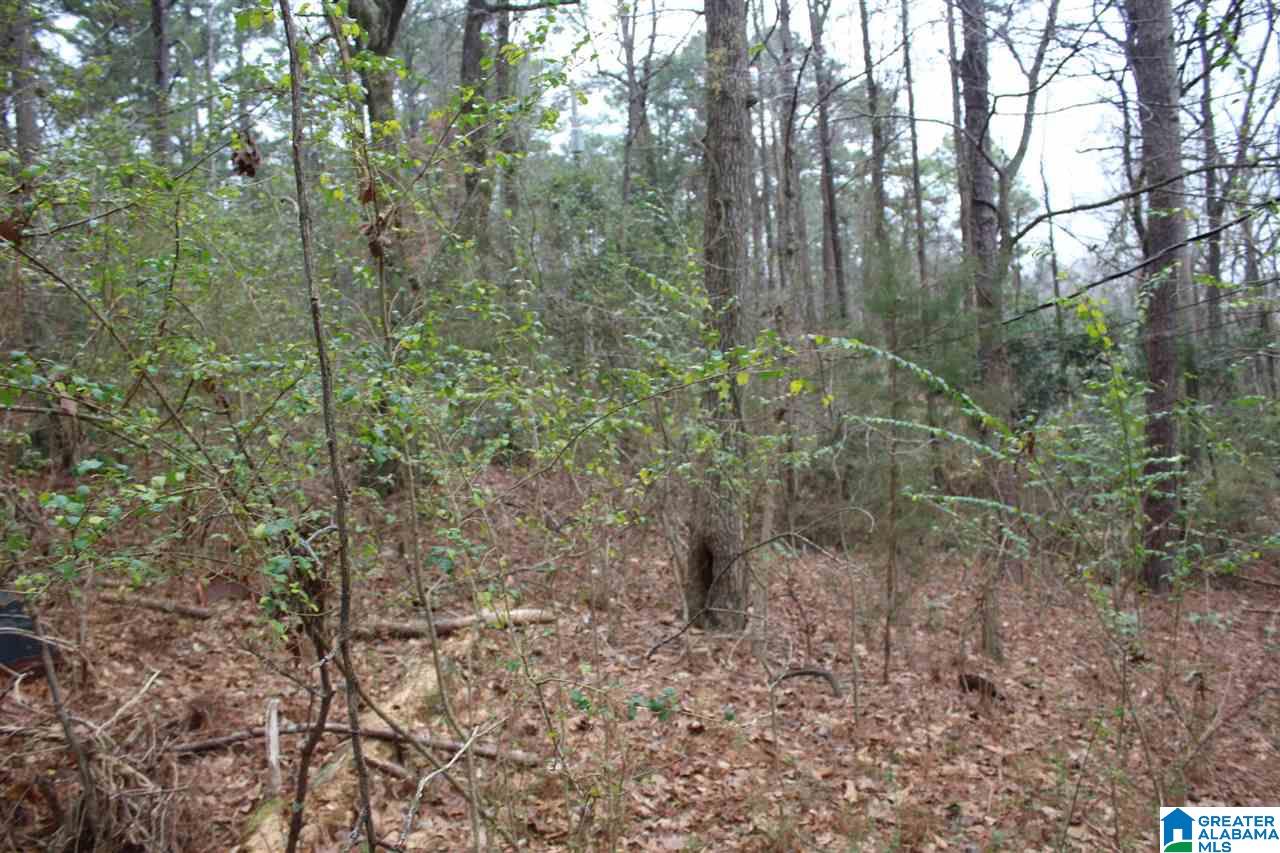 5151 South Shades Crest Road, Unit 1 Helena, AL 35022 - Photo 4 of 6