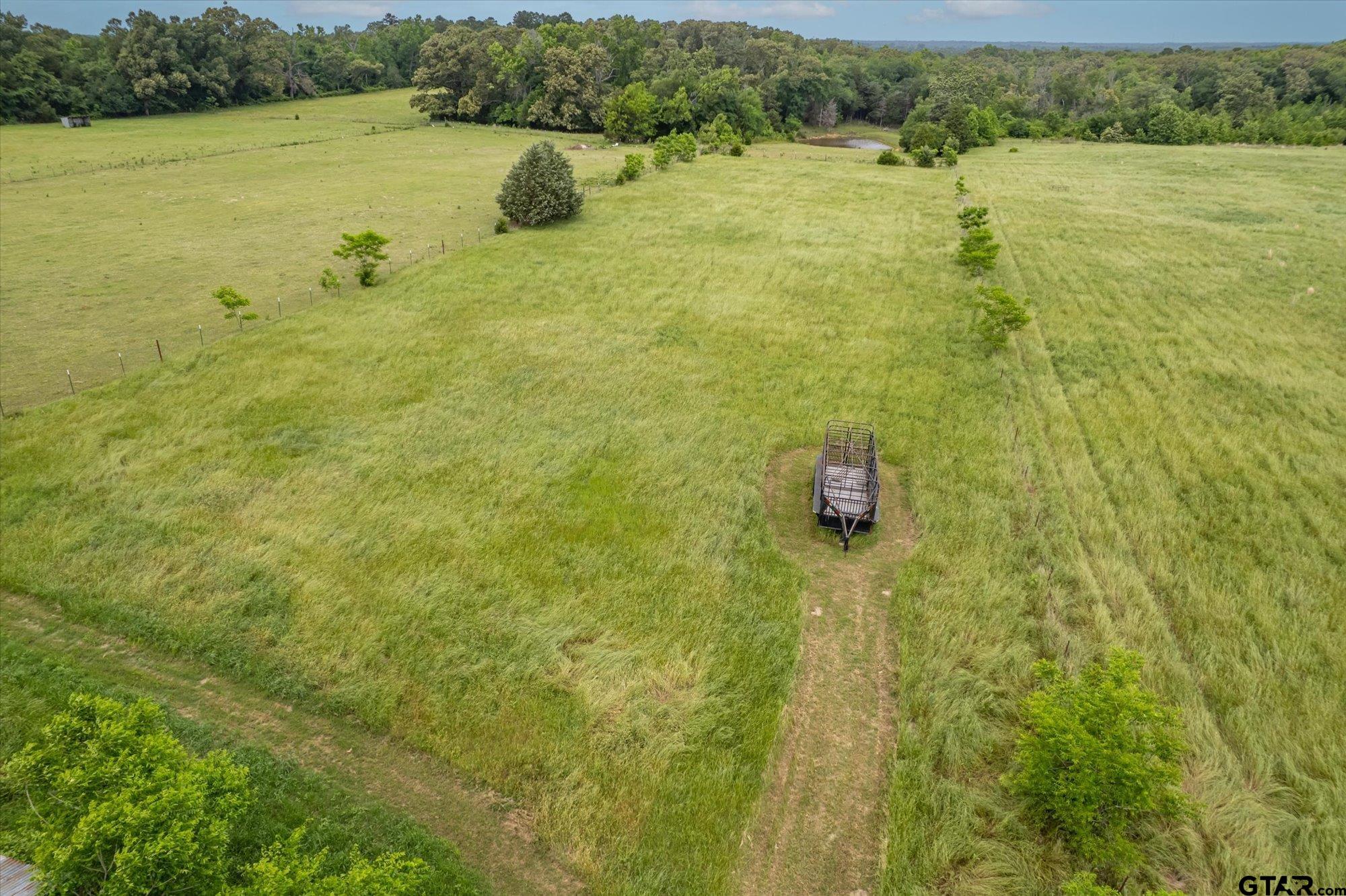 881 VZ County Road Ben Wheeler, TX 75754 - Photo 40 of 47