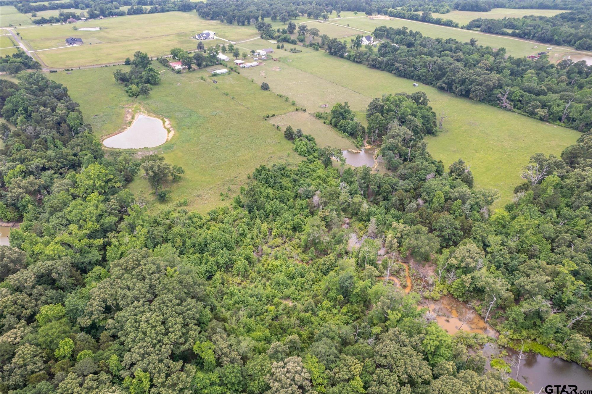 881 VZ County Road Ben Wheeler, TX 75754 - Photo 43 of 47