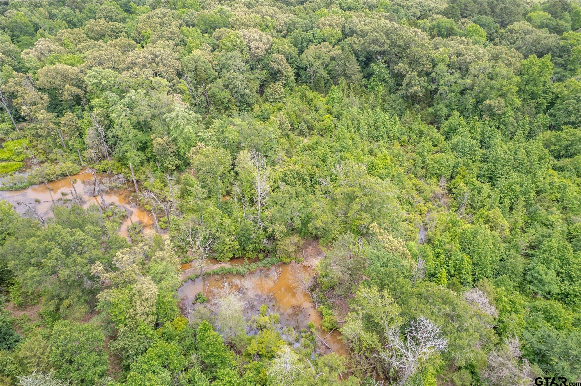881 VZ County Road Ben Wheeler, TX 75754 - Photo 46 of 47