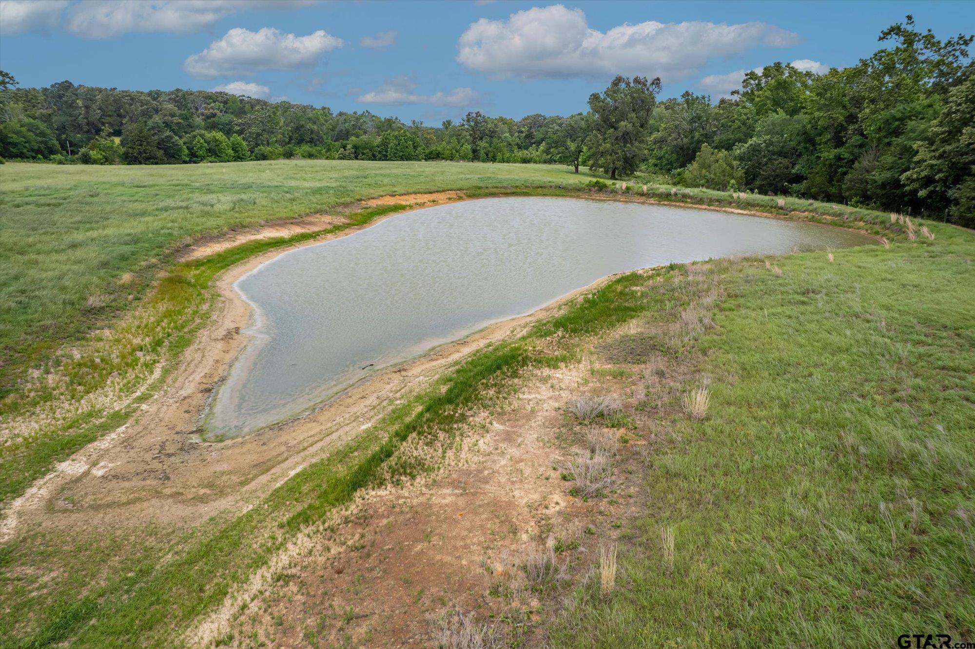 881 VZ County Road Ben Wheeler, TX 75754 - Photo 5 of 47