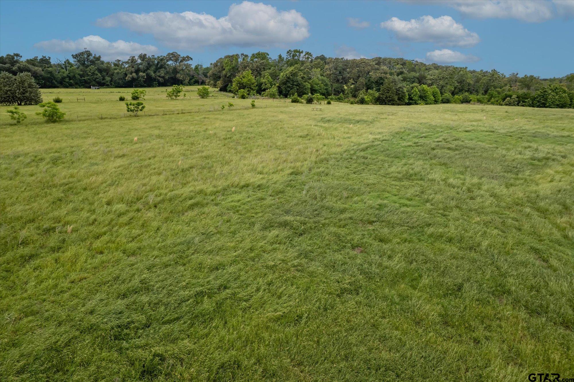 881 VZ County Road Ben Wheeler, TX 75754 - Photo 8 of 47
