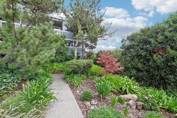 a view of a garden with flowers and flowers