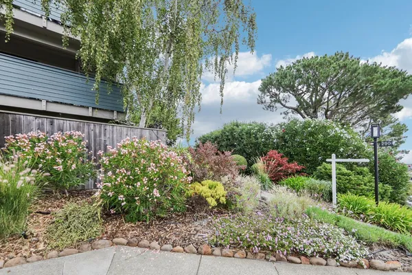 a view of a garden with plants