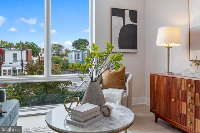 a view of a dining room with furniture a potted plant and wooden floor