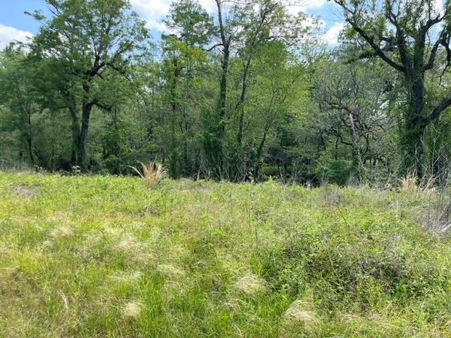 0 Rigolette Road Pineville, LA 71360 - Photo 13 of 16 Gallery Image 13