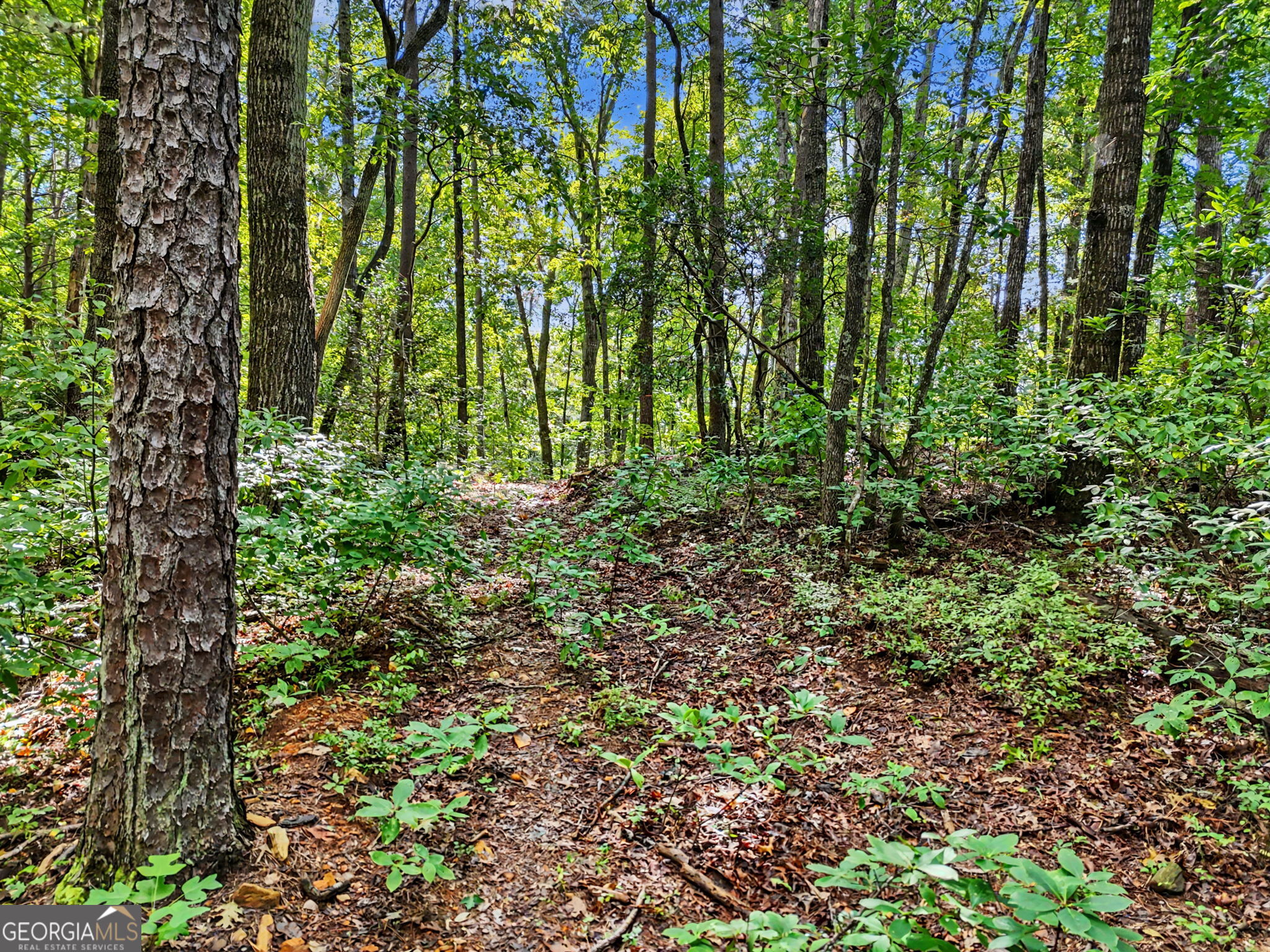 417 Kelly Mountain Road Clarkesville, GA 30523 - Photo 9 of 21 Gallery Image 9