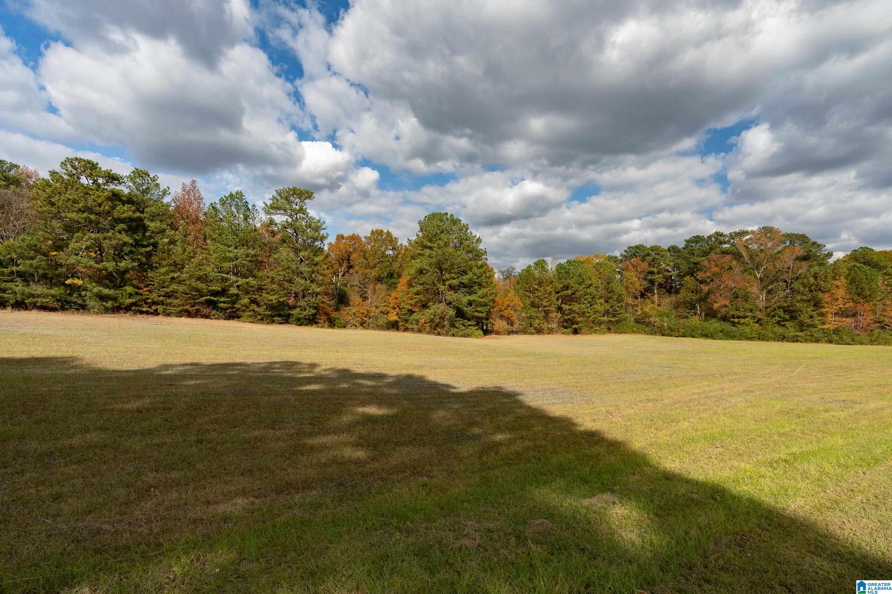 7260 Cavern Road Trussville, AL 35173 - Photo 65 of 91