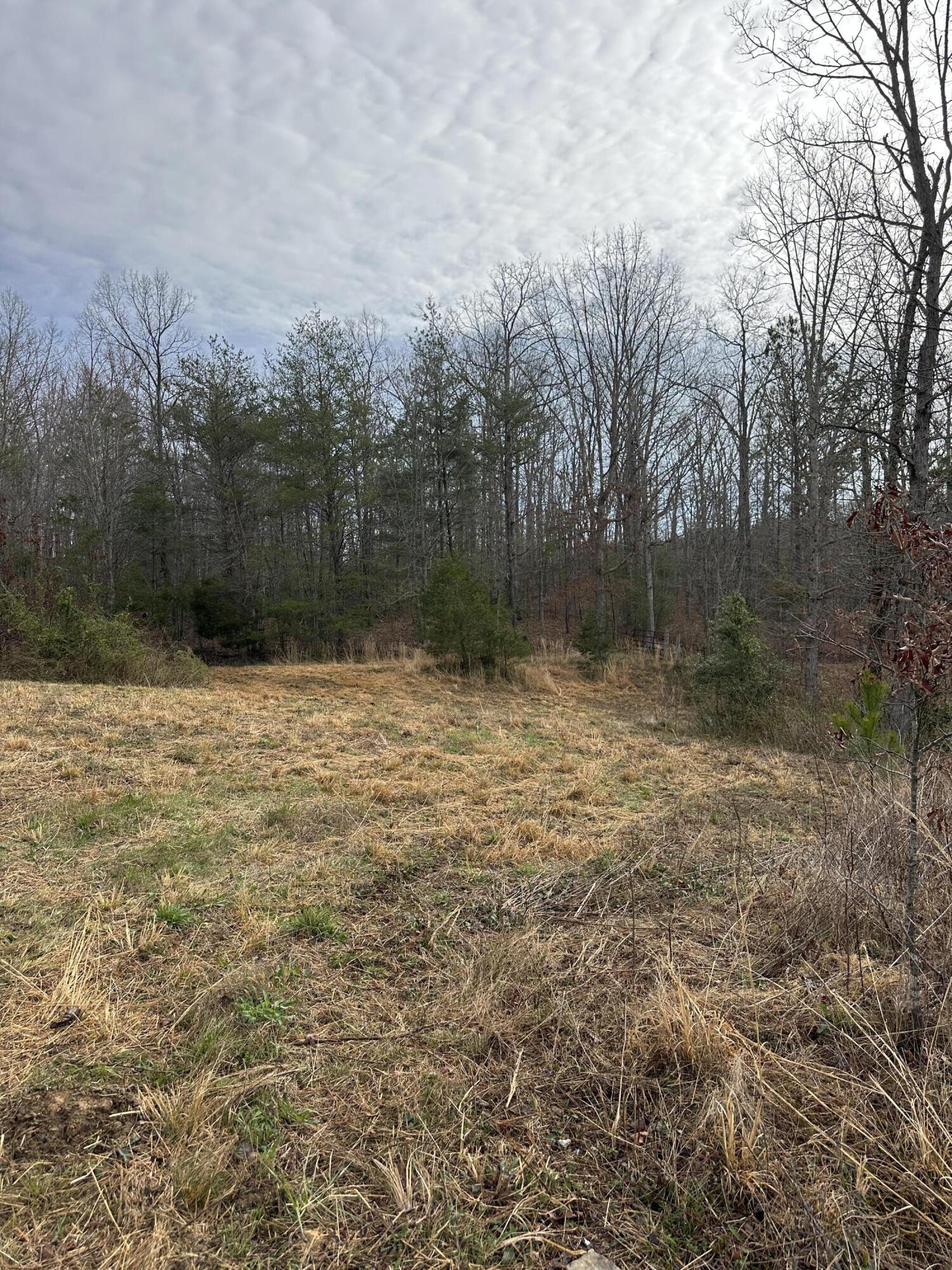 71 Herrington Road Spring City, TN 37381 - Photo 4 of 7 F076F397-60A5-4375-BBD3-3D7B65844014